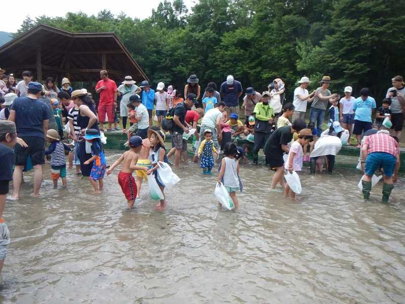 「夏祭りinわっぱらんど2017」7/17開催されました。