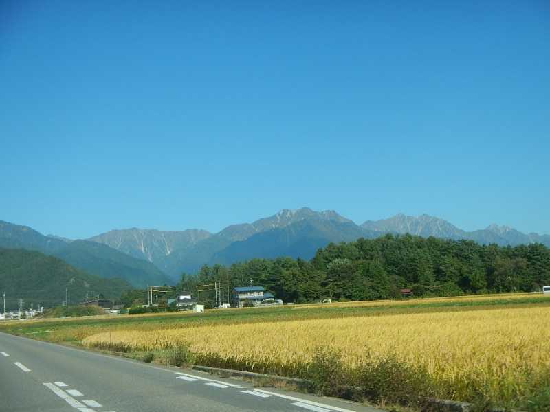 山の上部は紅葉が見頃