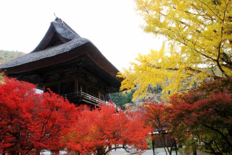 紅葉の名所「霊松寺」秋の内部拝観付宿泊プラン