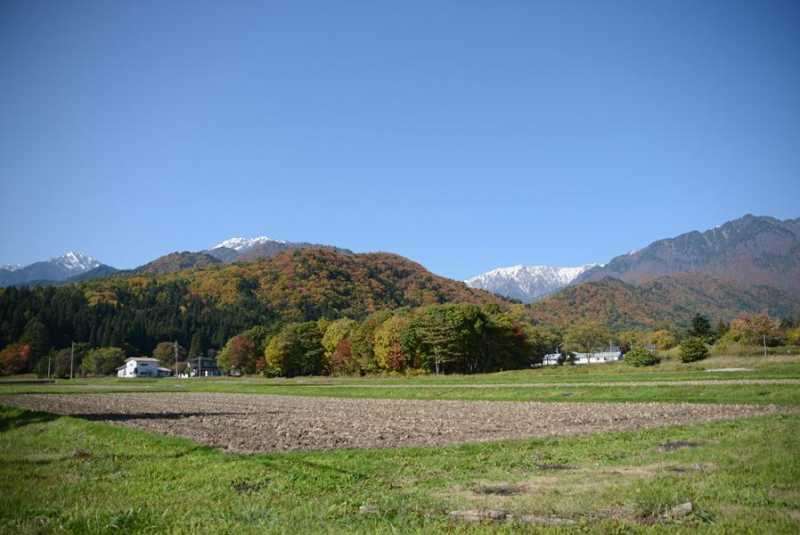 高瀬渓谷の紅葉が見頃です。