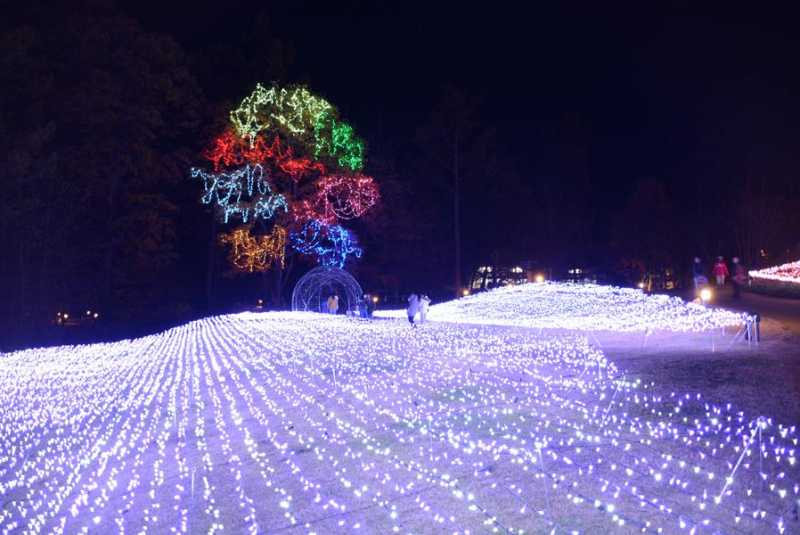 国営アルプスあづみの公園イルミネーション