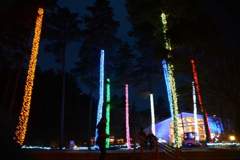 あづみの公園イルミネーション　堀金・穂高地区