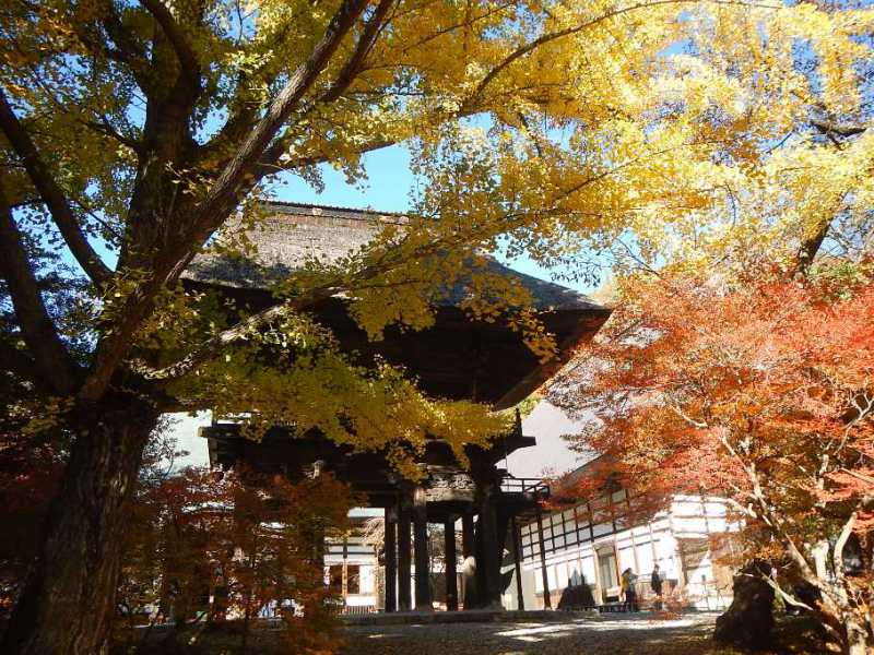 霊松寺ライトアップ