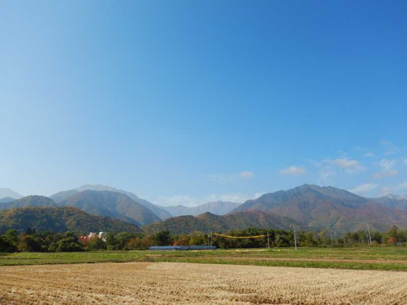 稲刈りも終わり、大町温泉郷付近まで紅葉がおりてきています。