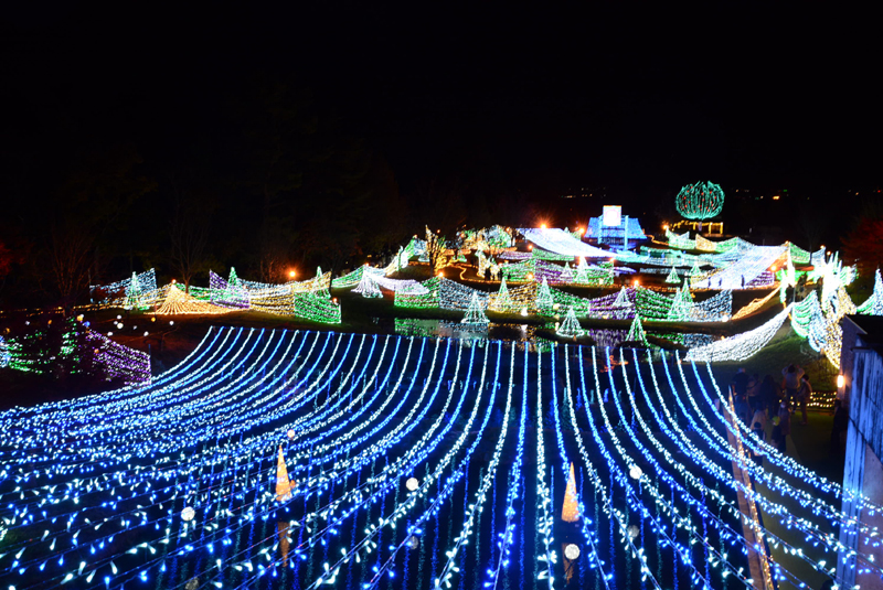 11/6～2022/1/10　あづみの公園　イルミネーション開催！