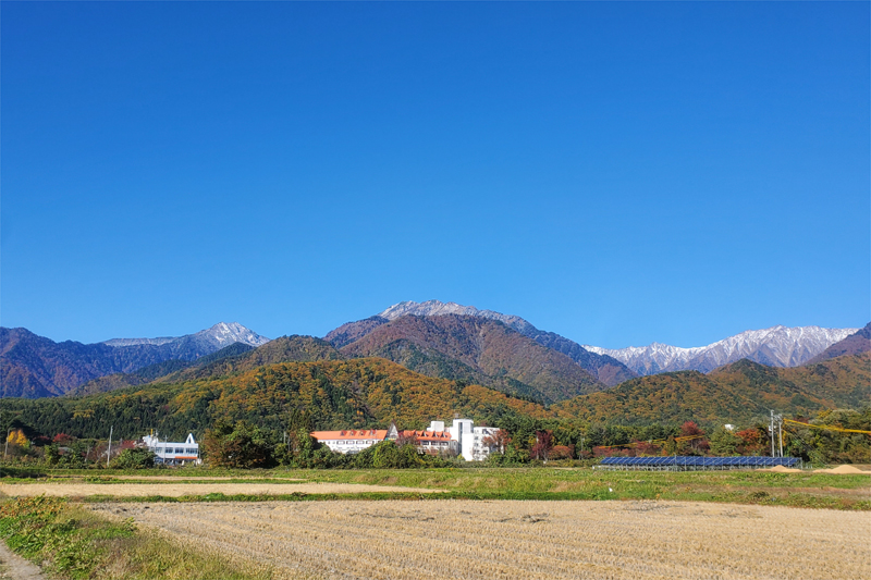 白、緑、赤・オレンジの三段紅葉