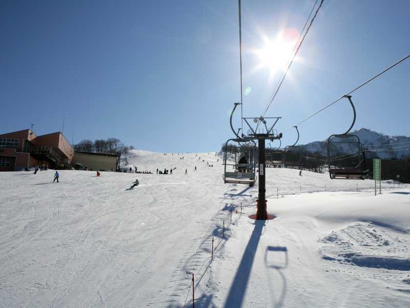 スキー場オープン情報