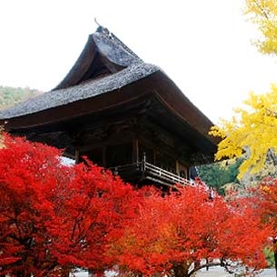 灵松寺