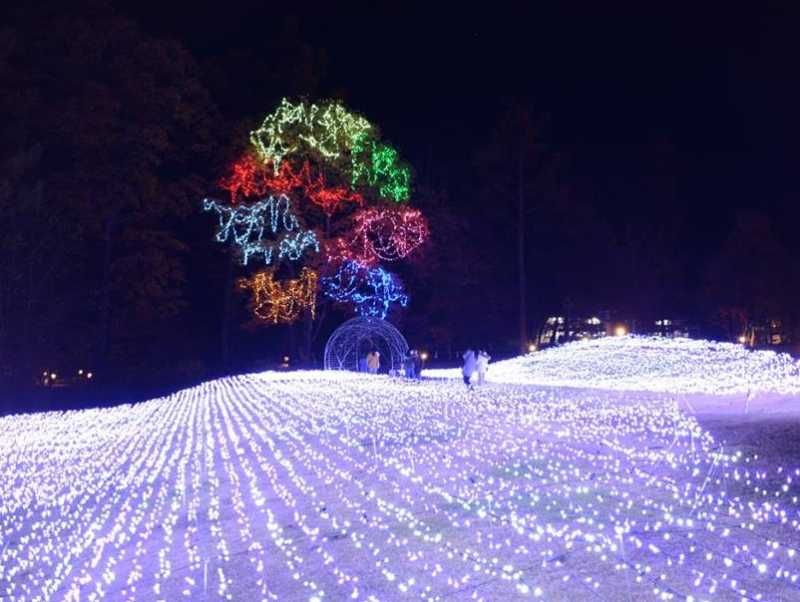 国営アルプスあづみの公園(大町・松川地区)