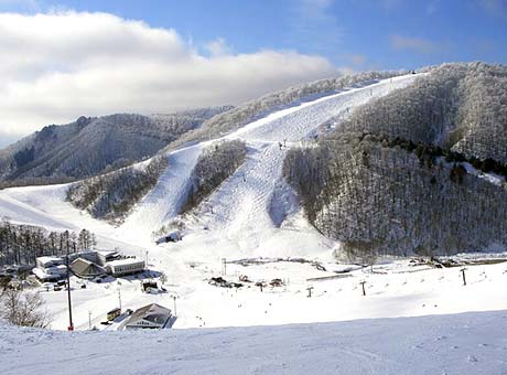 鹿島槍滑雪場